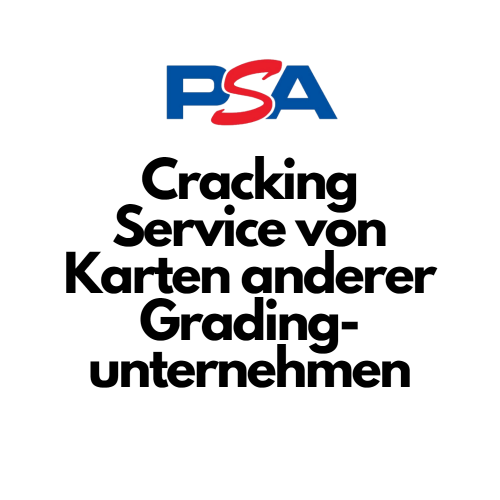 Cracking Service (Zusatzoption PSA Submission)